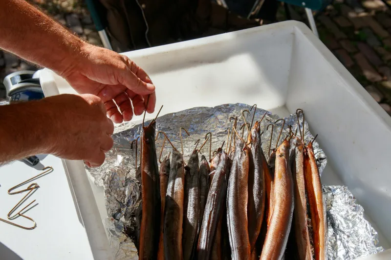 Silver Tides and Ancient Trades: How Britain's Herring Curers Built a Culture in Smoke