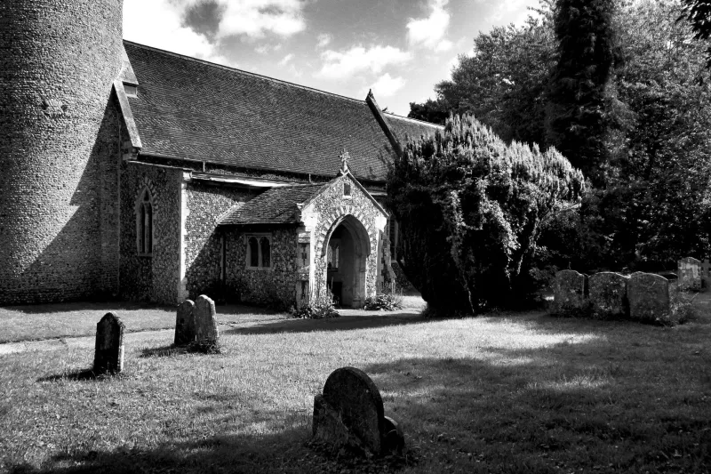 Slow Writing on Old Stone: The Lichen Watchers Who Let Nature Keep the Records
