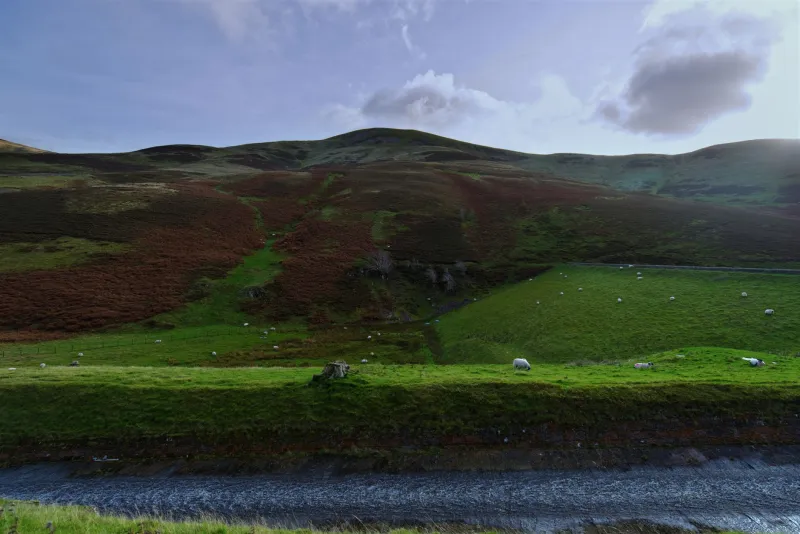 The Smell of the Moss: Britain's Last Peat Cutters and the Land They're Fighting to Remember