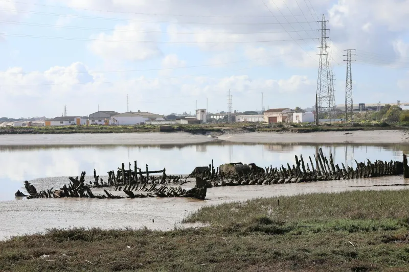 When the Tide Turns the Wheel: The Extraordinary Engineers Bringing Britain's Lost Mills Back to Life