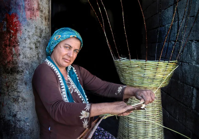 Woven From the Wood: The Hazel Hurdle Makers Stitching Britain's Farming Past Into Its Future